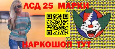 гидропоника Кингисепп